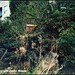 Billy House Photo 43