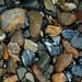 William Fournier Photo 27