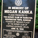 Megan Place Photo 17
