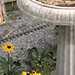 Susan Stone Photo 21