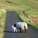 Clyde Lamb Photo 10