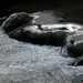 Shaun Hubbard Photo 25