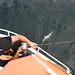John Pollack Photo 37