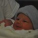 Alexander Halverson Photo 7