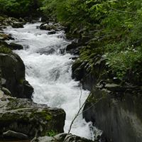 Jeanette Rojas Photo 19