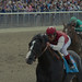 Edgar Stephens Photo 5