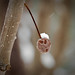 Gary Moody Photo 27