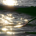Kim Stocker Photo 17