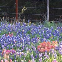 Lisa Neeley Photo 35