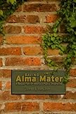 Saving Alma Mater: A Rescue Plan For America's Public Universities