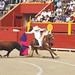 Flavio Carrillo Photo 10