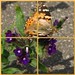 Cynthia Nagy Photo 9