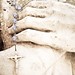 Corey Guess Photo 11