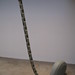 Donald Young Photo 38