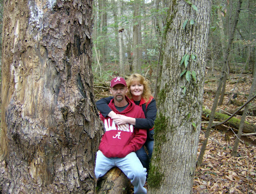 Cindy Quick Photo 10