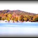 Cindy Parton Photo 10