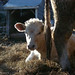 Heather Ranney Photo 2