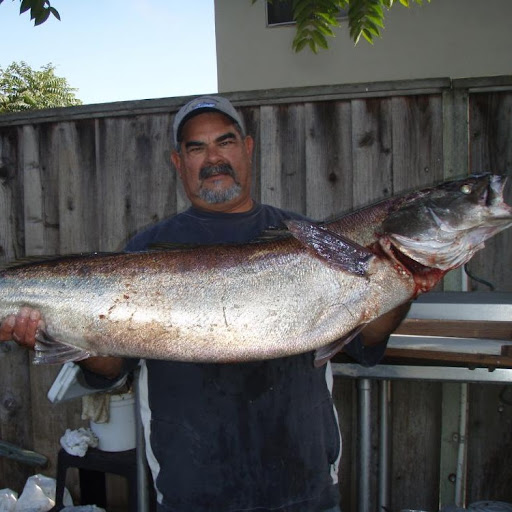 Jose Montes Photo 28