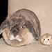 Don Cheek Photo 20