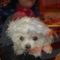 Nancy Leflore Photo 2