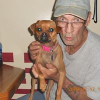 Robert Rippy Photo 12