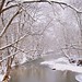 Anne Larson Photo 32