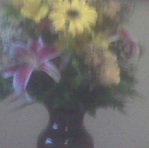 Judy Maxwell Photo 18