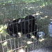 Arleen Long Photo 8
