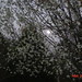 Bradford Barnett Photo 8