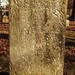 Sherman Stone Photo 4