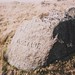 Rosalie Stone Photo 15