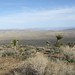 Ryan Peak Photo 15
