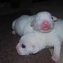 Mike Plummer Photo 21