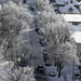 Regina Winters Photo 15