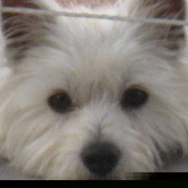 Mary Mccord Photo 15