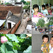 Que Ngo Photo 11