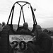 Wayne Dotson Photo 16