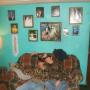 Jeffery Morris Photo 30