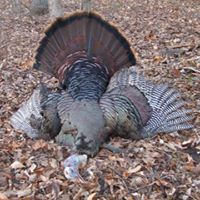 Craig Robins Photo 7