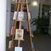 Christina Genovese Photo 30