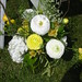 Allison Welsh Photo 22