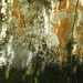 Gail Moss Photo 27