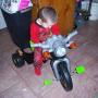 Janice Harmon Photo 17