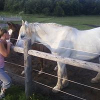 Michelle Vink Photo 15