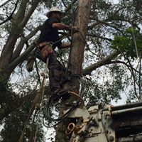 Daryl Cheatham Photo 10