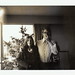 Suzanne Gregory Photo 17