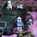 Rex Flowers Photo 10