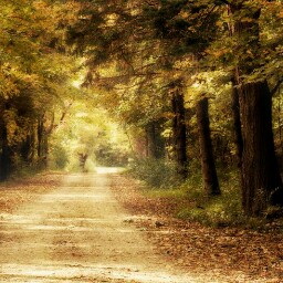 Mary Reasor Photo 2