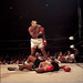 Sue Gruber Photo 12