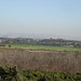 Sharon Israel Photo 11